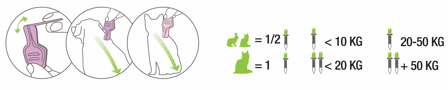 esquema_biostix_pipetas